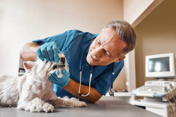 Best Emergency Wisdom Teeth Removal in Bermuda Run, NC